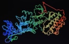 Structure of a protein molecule